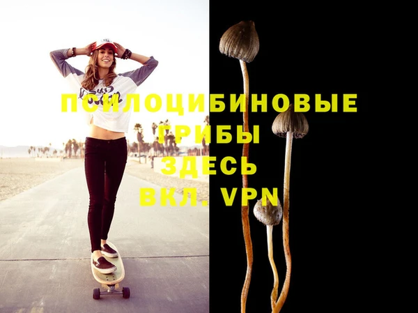 ПСИЛОЦИБИНОВЫЕ ГРИБЫ Няндома