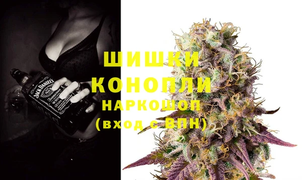 ПСИЛОЦИБИНОВЫЕ ГРИБЫ Няндома