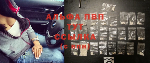 ПСИЛОЦИБИНОВЫЕ ГРИБЫ Няндома