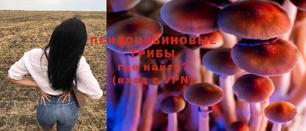 мескалин Бикин