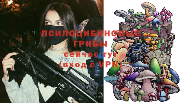 МДПВ Нягань