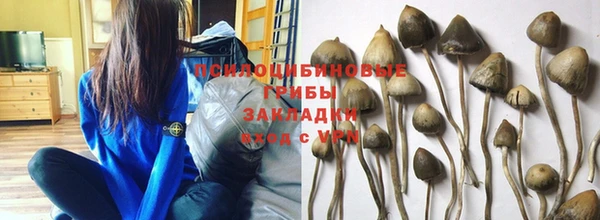 метадон Осташков