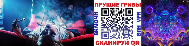 где найти наркотики  Сусуман  Псилоцибиновые грибы MAGIC MUSHROOMS 